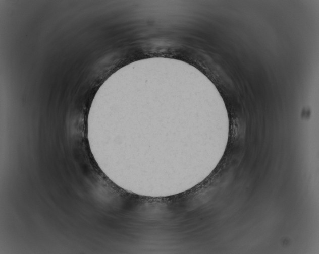 X0000100780820200807171440