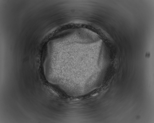 X0000100780821200807171440