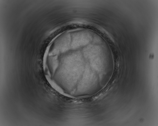 X0000100780822200807171440