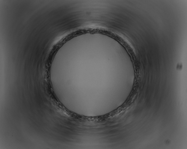 X0000100780823200807171440