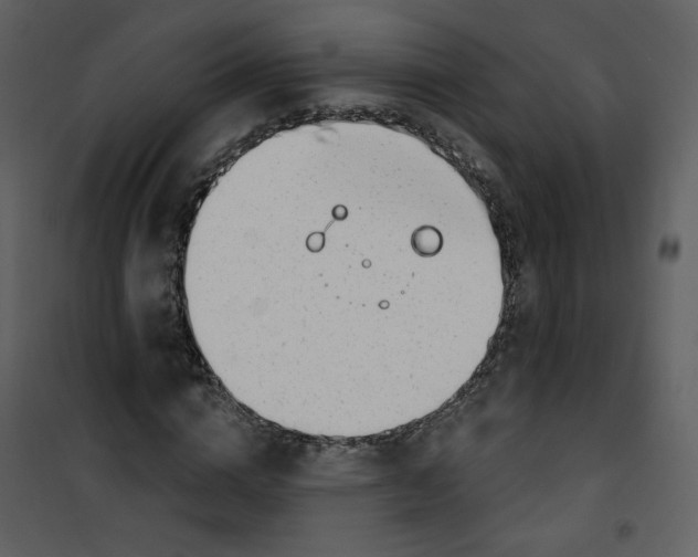 X0000100780824200807171440