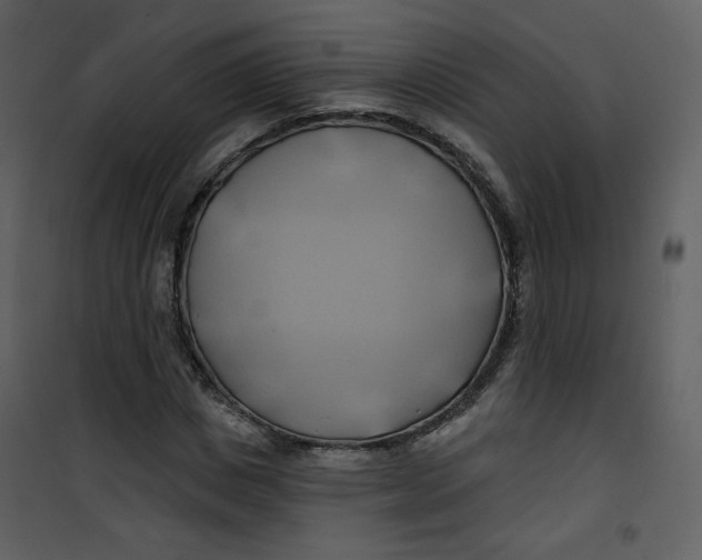 X0000100780825200807171440