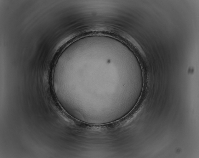 X0000100780826200807171440