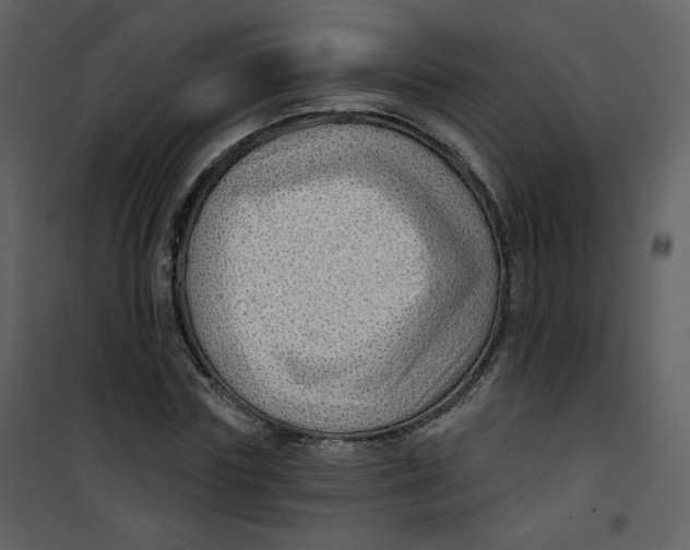 X0000100780827200807171440