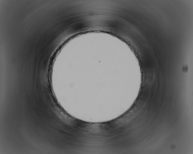 X0000100780828200807171440