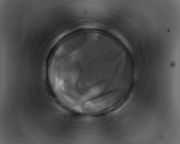X0000100780829200807171440