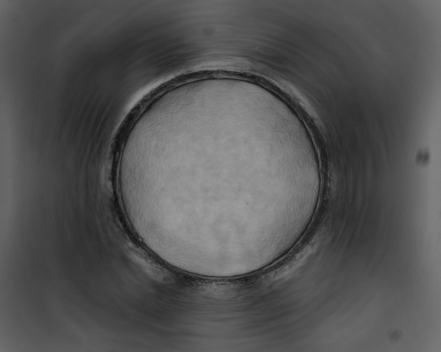 X0000100780830200807171440