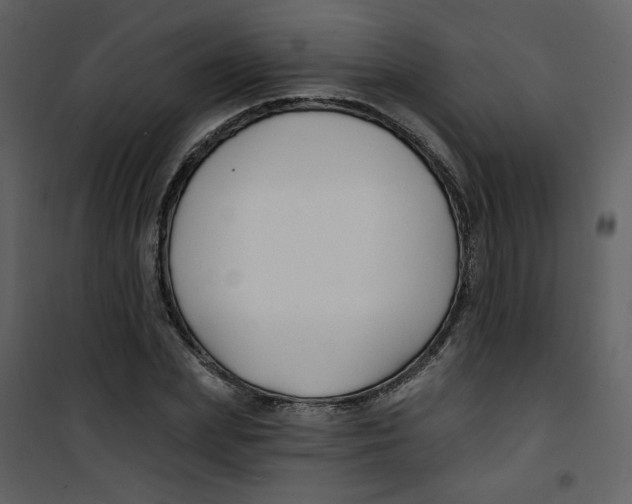 X0000100780831200807171440