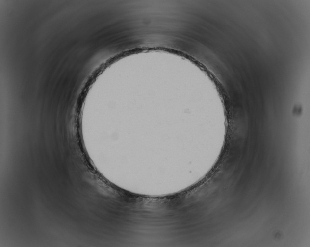 X0000100780832200807171440