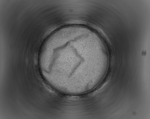 X0000100780833200807171440