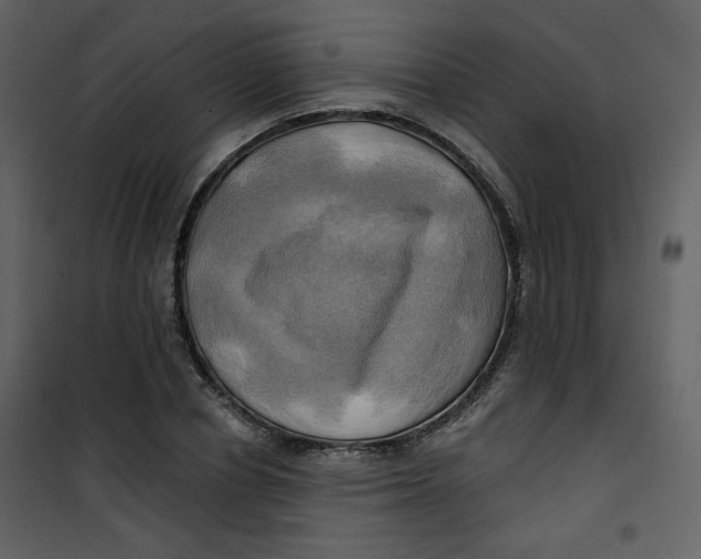 X0000100780834200807171440