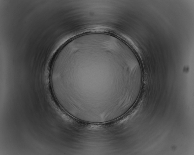 X0000100780835200807171440