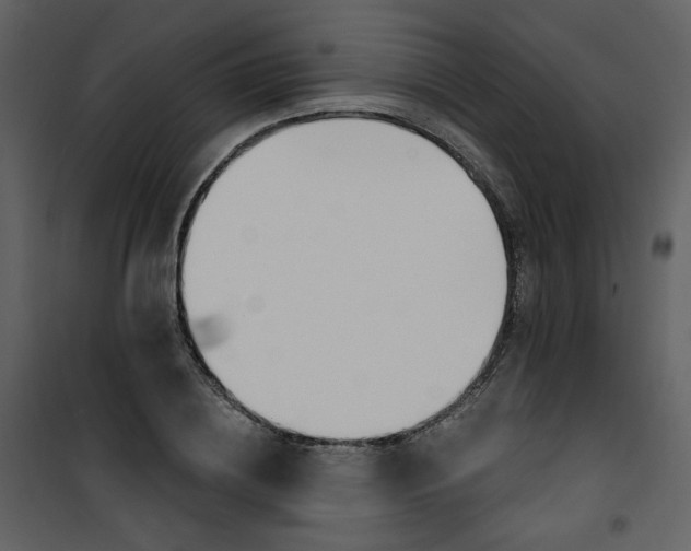 X0000100780836200807171440