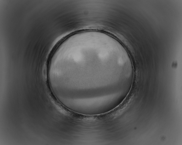 X0000100780838200807171440