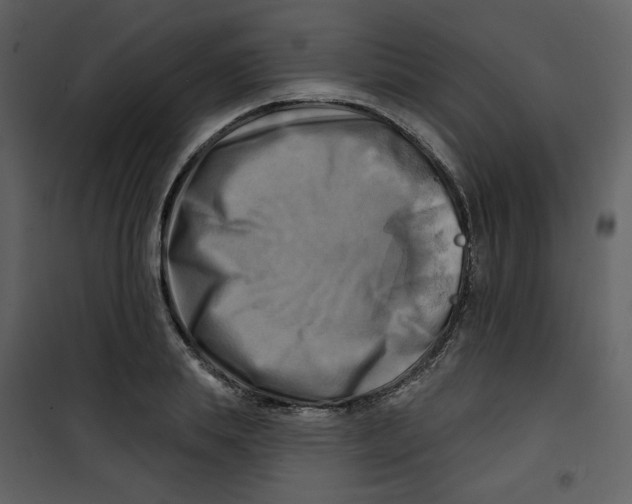 X0000100780839200807171440