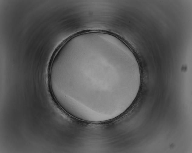 X0000100780840200807171440