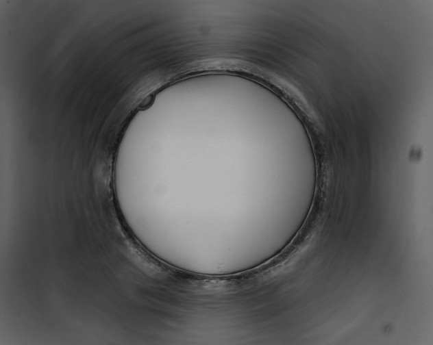 X0000100780841200807171440