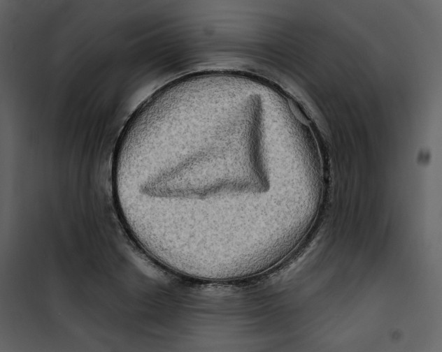 X0000100780842200807171440
