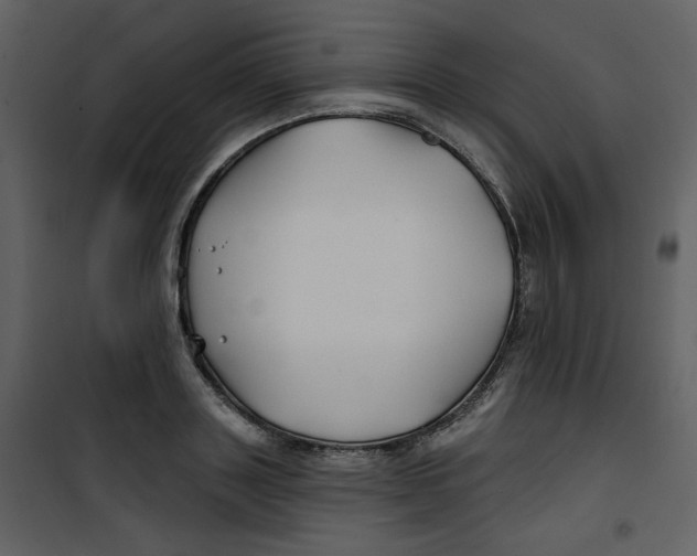 X0000100780843200807171440
