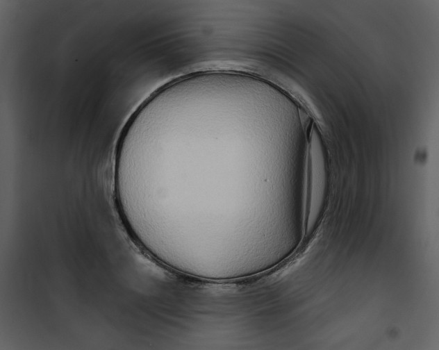 X0000100780844200807171440