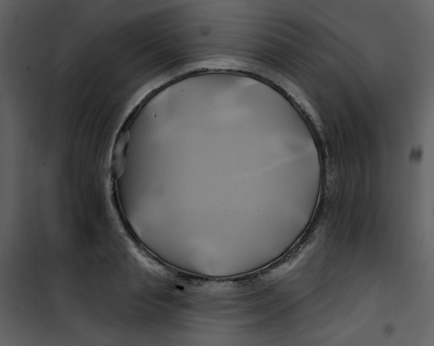 X0000100780845200807171440