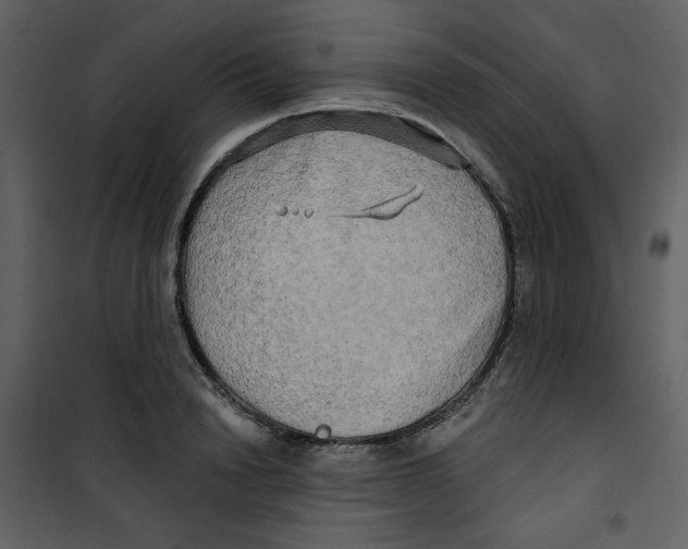 X0000100780846200807171440
