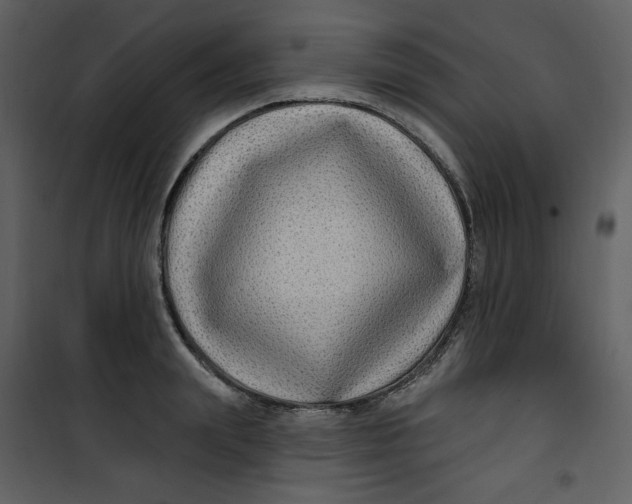 X0000100780847200807171441