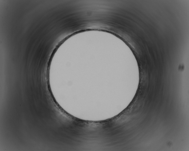 X0000100780848200807171441