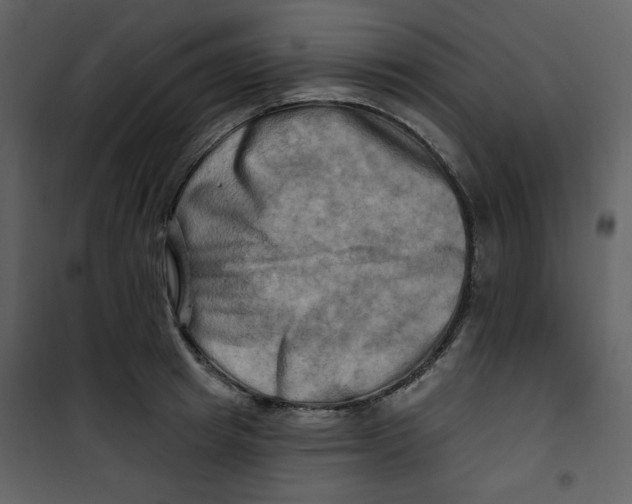 X0000100780849200807171441