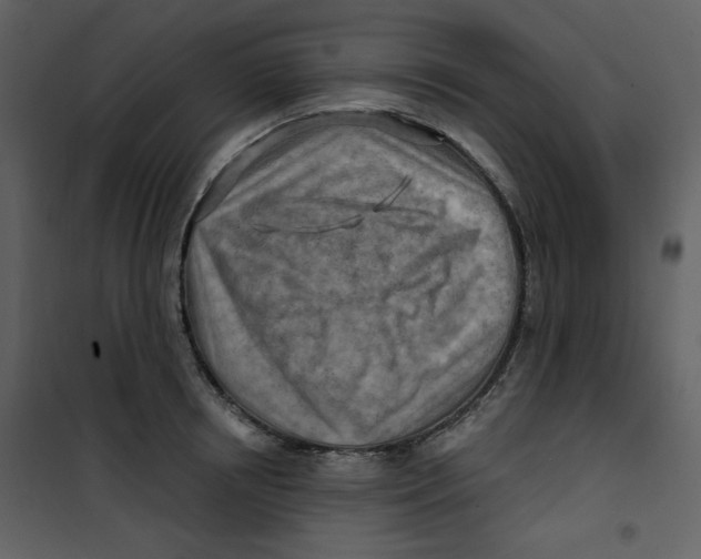 X0000100780850200807171441