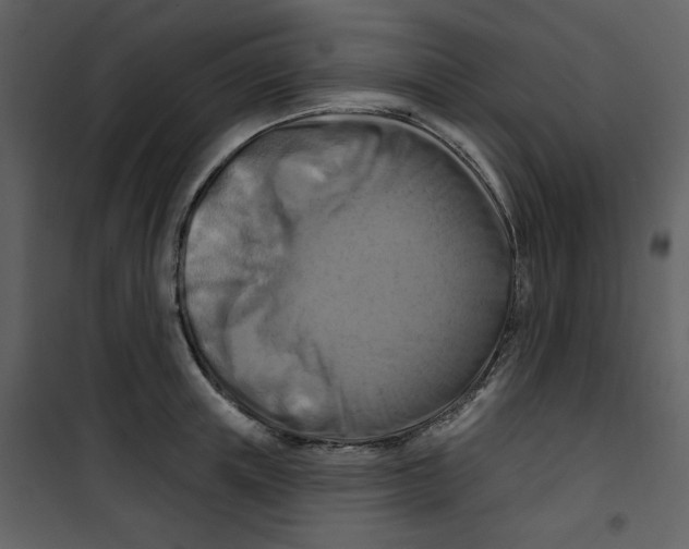 X0000100780851200807171441