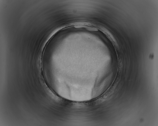 X0000100780852200807171441