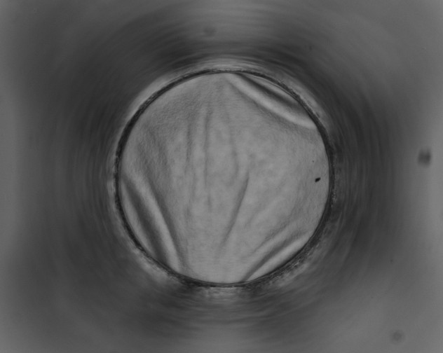 X0000100780853200807171441
