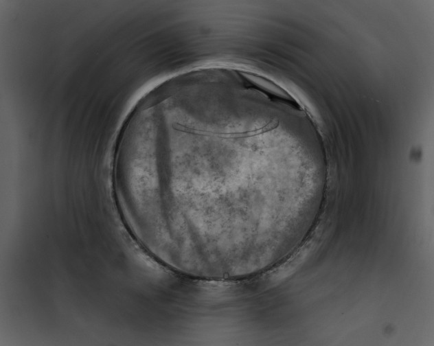 X0000100780854200807171441