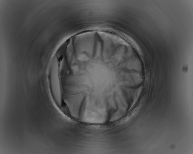 X0000100780855200807171441
