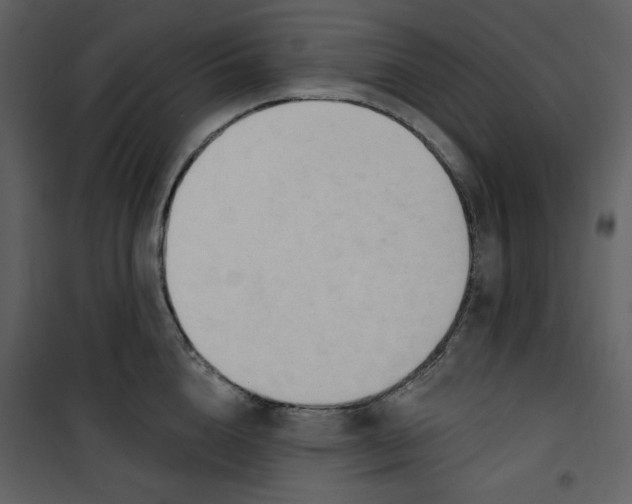 X0000100780856200807171441