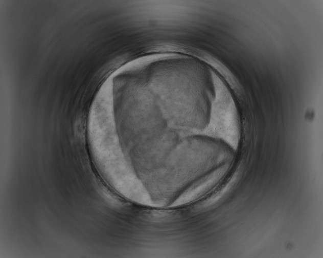 X0000100780857200807171441