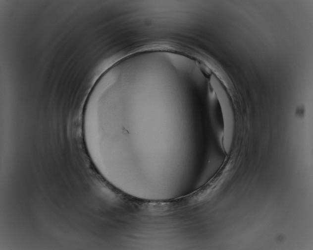 X0000100780858200807171441