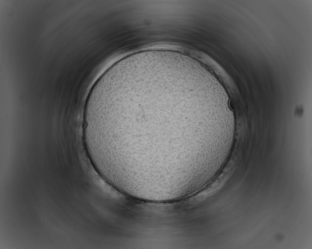 X0000100780860200807171441