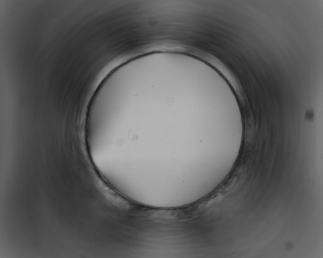X0000100780861200807171441