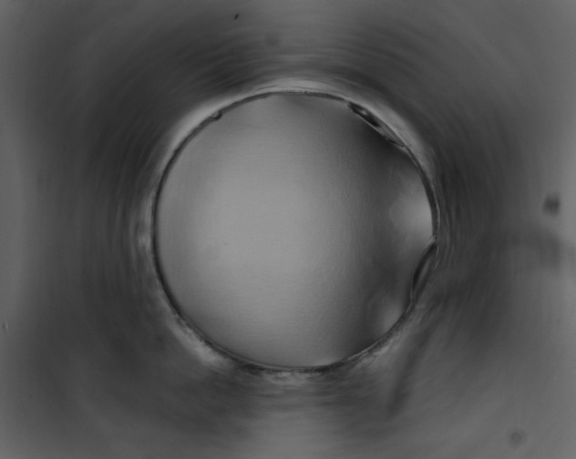 X0000100780862200807171441