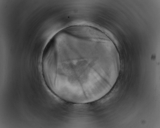 X0000100780863200807171441