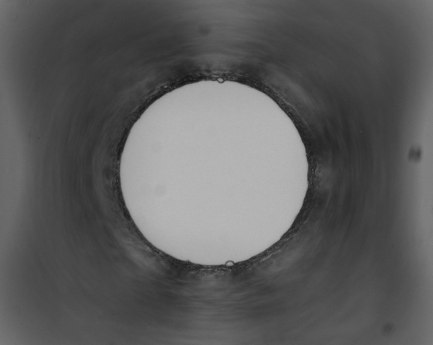 X0000100780865200807171440