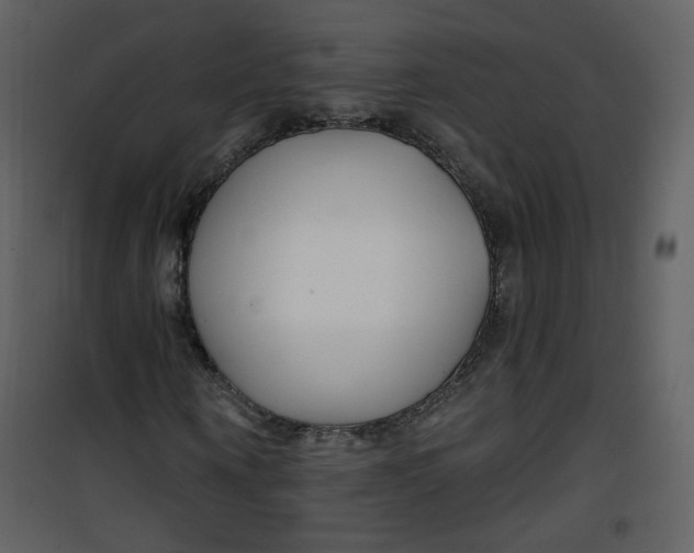 X0000100780866200807171440