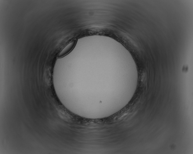 X0000100780868200807171440