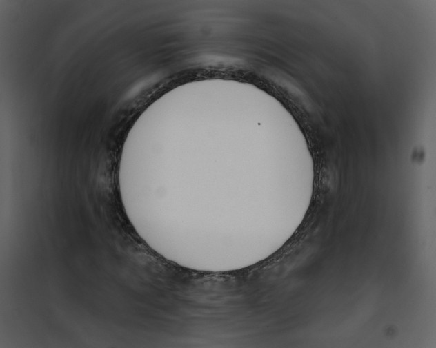 X0000100780869200807171440