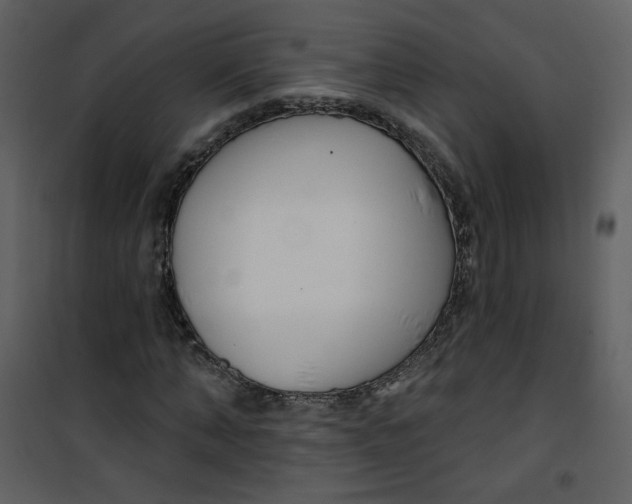 X0000100780870200807171440