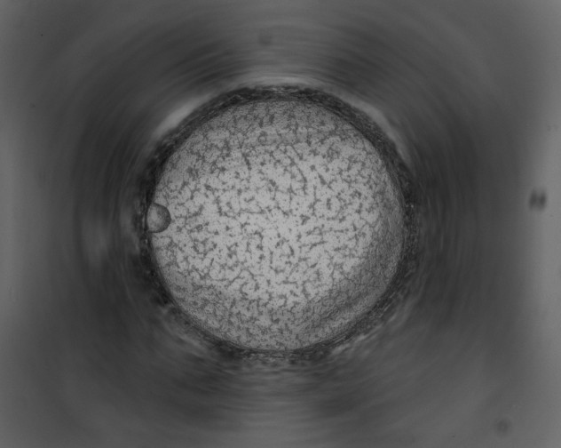 X0000100780871200807171440