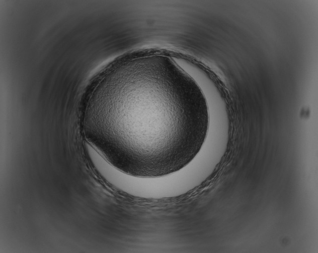 X0000100780872200807171440