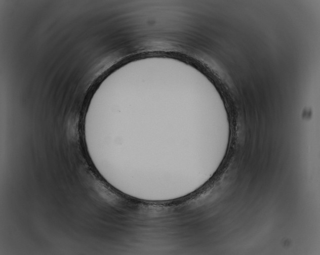X0000100780873200807171440